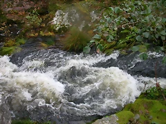DSCN5744 DSCN5744
