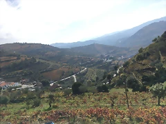 IMG_5843 IMG_5843