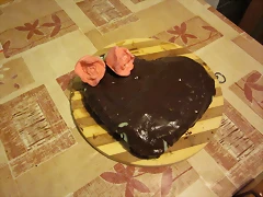 IMG_0071 IMG_0071
