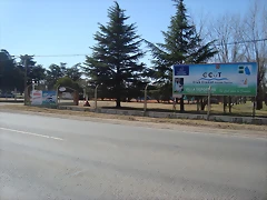 DSC09341