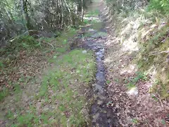 DSCN2095 DSCN2095