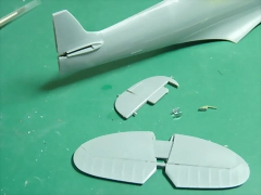 P1100710 P1100710