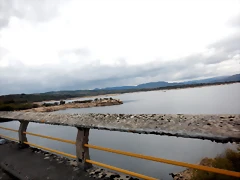 DSCN2145 DSCN2145