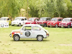 P1070341 P1070341
