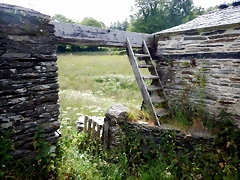 DSCN4279 DSCN4279