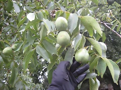 IMG_0279 IMG_0279