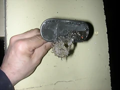 DSCN5938 DSCN5938