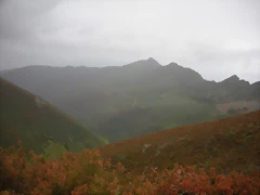 DSCN6314 DSCN6314