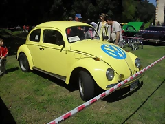 SDC13667 SDC13667