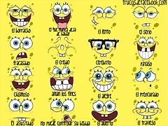 bobsponga bobsponga