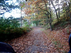DSCN3736
