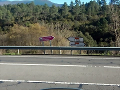DSCN1649 DSCN1649