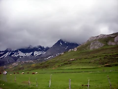 DSCN4342 DSCN4342
