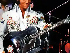 solo elvis