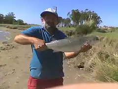 2 clase pesca d lisas:Sergio y Jorge AUSENTES