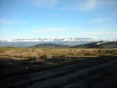 DSCN2504 DSCN2504