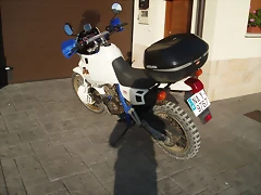 domiacerbis (5)