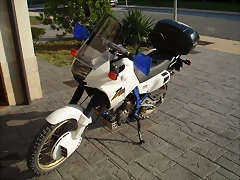 domiacerbis (6)