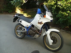 domiacerbis (7)