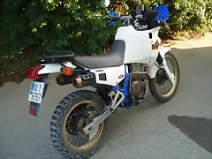 domiacerbis (8)
