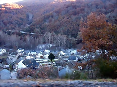 DSCN6985