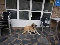 DSCN2871 DSCN2871