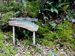DSCN2079 DSCN2079