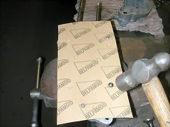 DSCN9955 DSCN9955