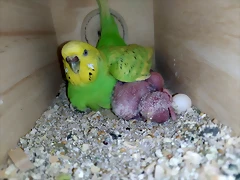 IMG_20200315_223713