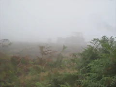 IMG_0222 IMG_0222