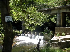 DSCN6706 DSCN6706
