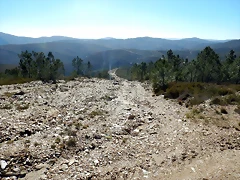 DSCN1552 DSCN1552