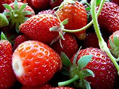 fresa_y_fresas_y_cosecha_y_huerto