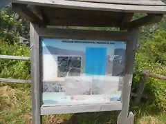 DSCN3148 DSCN3148