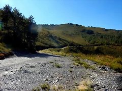 DSCN9452 DSCN9452