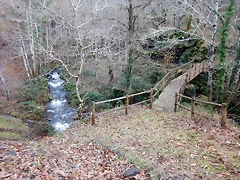DSCN3306 DSCN3306