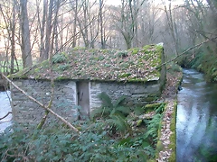 DSCN5784 DSCN5784