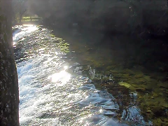 DSCN5774 DSCN5774