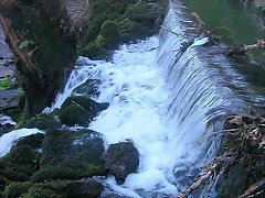 DSCN5790 DSCN5790