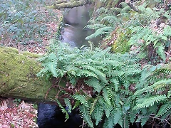 DSCN5788 DSCN5788