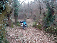DSCN5797 DSCN5797
