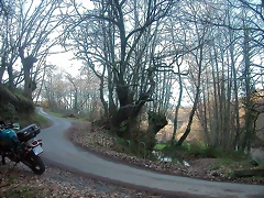 DSCN5782 DSCN5782