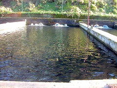 DSCN5776 DSCN5776