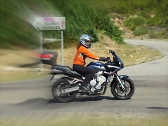 IMG_7998 IMG_7998