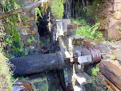 DSCN7706 DSCN7706
