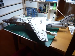 P1090271 P1090271