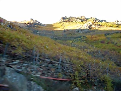 DSCN6532 DSCN6532