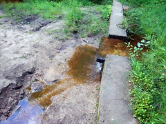 DSCN6325 DSCN6325