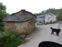 DSCN2139 DSCN2139