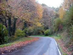 DSCN4605 DSCN4605